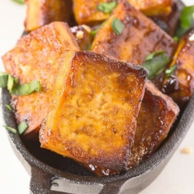 3 Ingredient Spicy BBQ Tofu recipe- Perfect grilled, baked or seared and the BEST Tofu recipe, even carnivores adore it! {vegan, gluten free, low carb recipe}- thebigmansworld.com