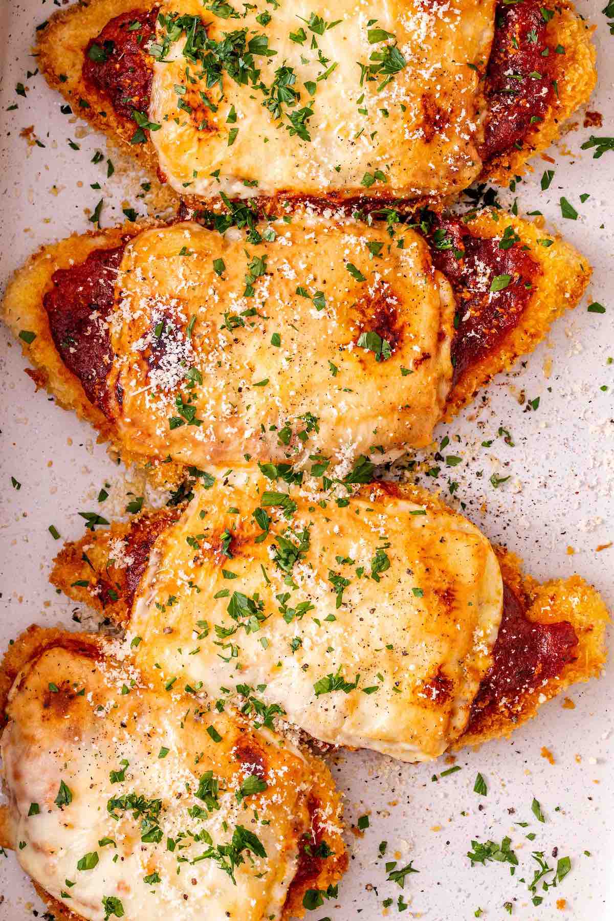 chicken parmigiana.