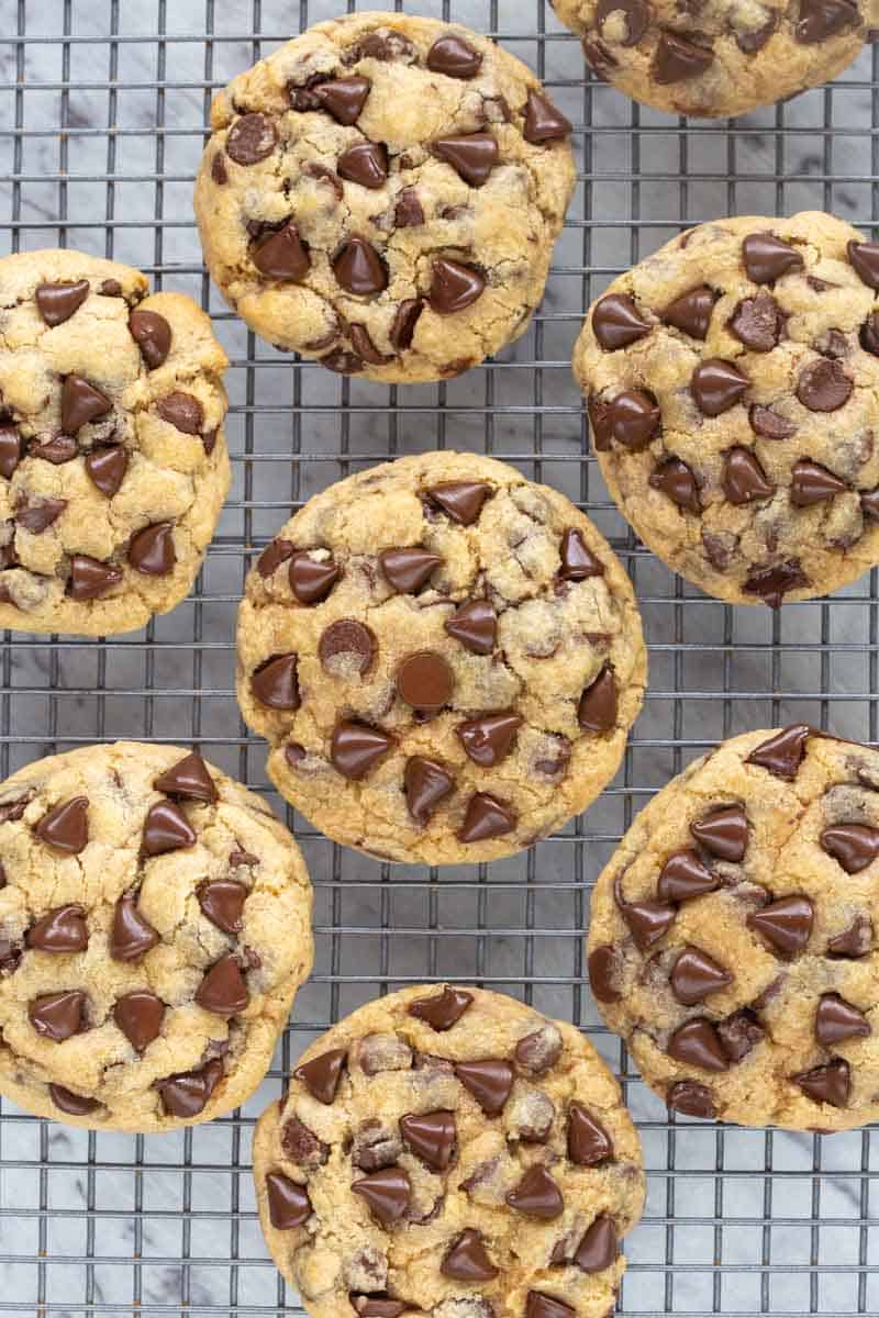 coconut flour chocolate chip cookies