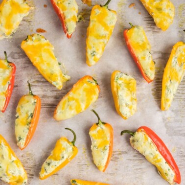 cream cheese stuffed peppers recipe